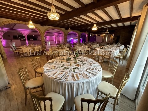 dECORATION SALLE